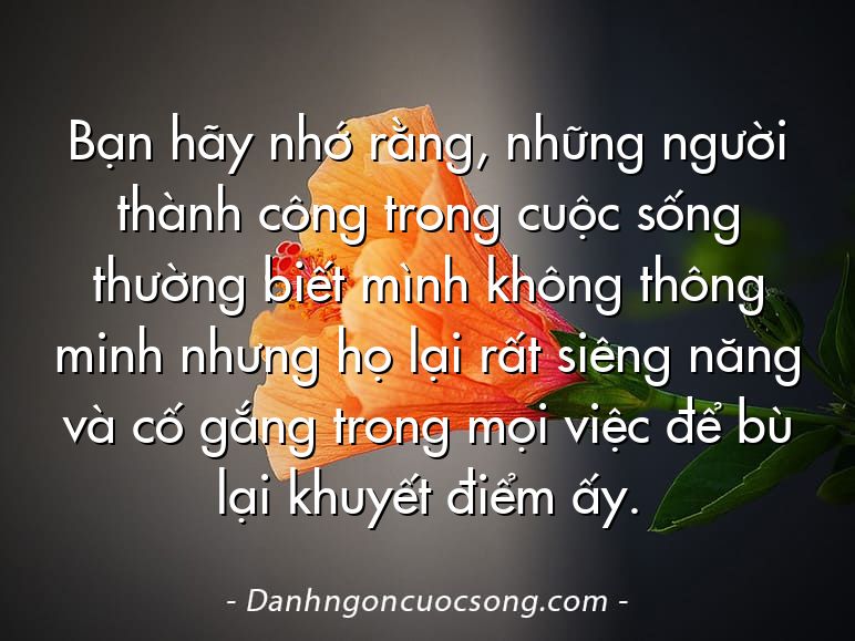 Bạn hãy nhớ rằng, những người thành công trong cuộc sống thường biết mình không thông minh nhưng họ lại rất siêng năng và cố gắng trong mọi việc để bù lại khuyết điểm ấy.