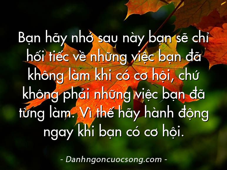 Bạn hãy nhớ sau này bạn sẽ chỉ hối tiếc về những việc bạn đã không làm khi có cơ hội, chứ không phải những việc bạn đã từng làm. Vì thế hãy hành động ngay khi bạn có cơ hội.