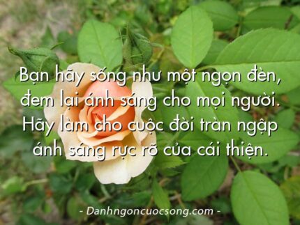Bạn hãy sống như một ngọn đèn, đem lại ánh sáng cho mọi người. Hãy làm cho cuộc đời tràn ngập ánh sáng rực rỡ của cái thiện.