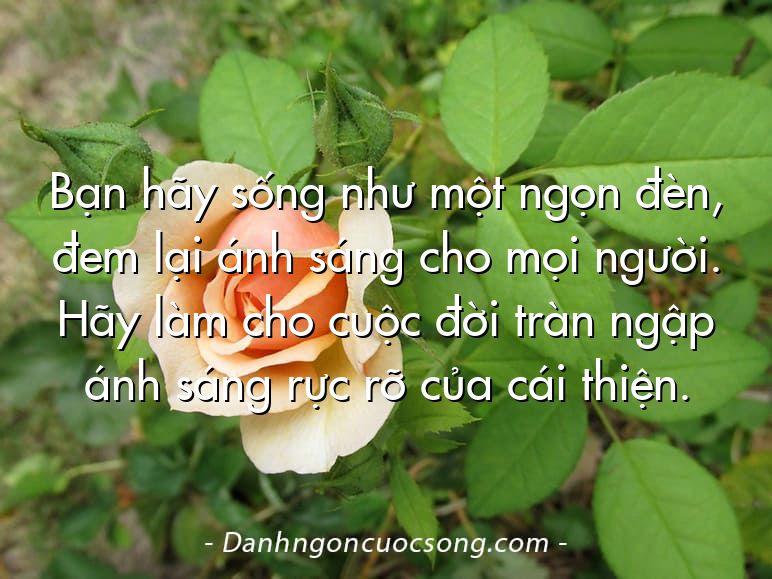 Bạn hãy sống như một ngọn đèn, đem lại ánh sáng cho mọi người. Hãy làm cho cuộc đời tràn ngập ánh sáng rực rỡ của cái thiện.
