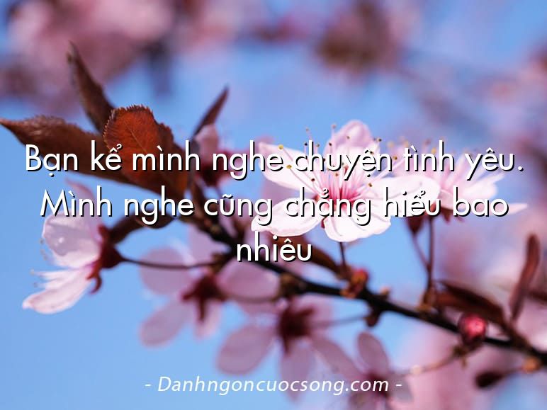 Bạn kể mình nghe chuyện tình yêu. Mình nghe cũng chẳng hiểu bao nhiêu