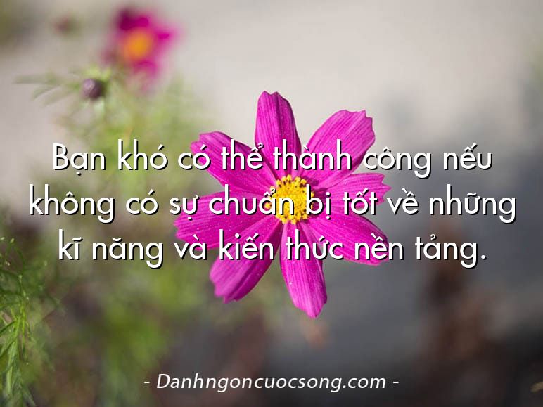 Bạn khó có thể thành công nếu không có sự chuẩn bị tốt về những kĩ năng và kiến thức nền tảng.