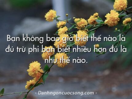 Bạn không bao giờ biết thế nào là đủ trừ phi bạn biết nhiều hơn đủ là như thế nào.