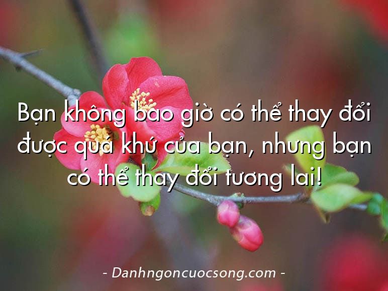 Bạn không bao giờ có thể thay đổi được quá khứ của bạn, nhưng bạn có thể thay đổi tương lai!