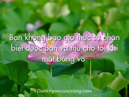 Bạn không bao giờ thực sự phân biệt được bạn và thù cho tới khi mặt băng vỡ.