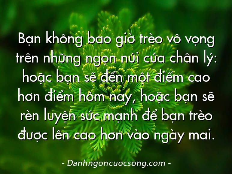 Bạn không bao giờ trèo vô vọng trên những ngọn núi của chân lý: hoặc bạn sẽ đến một điểm cao hơn điểm hôm nay, hoặc bạn sẽ rèn luyện sức mạnh để bạn trèo được lên cao hơn vào ngày mai.