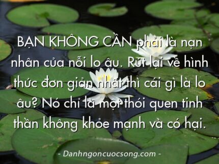 BẠN KHÔNG CẦN phải là nạn nhân của nỗi lo âu. Rút lại về hình thức đơn giản nhất thì cái gì là lo âu? Nó chỉ là một thói quen tinh thần không khỏe mạnh và có hại.