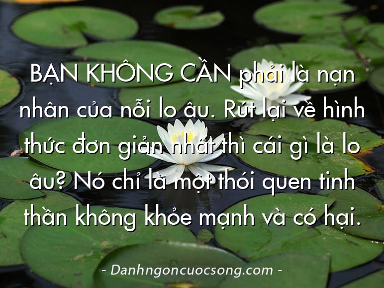 BẠN KHÔNG CẦN phải là nạn nhân của nỗi lo âu. Rút lại về hình thức đơn giản nhất thì cái gì là lo âu? Nó chỉ là một thói quen tinh thần không khỏe mạnh và có hại.