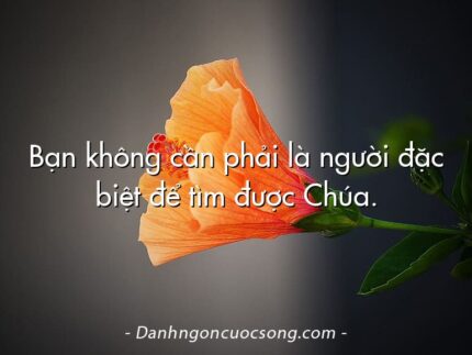 Bạn không cần phải là người đặc biệt để tìm được Chúa.