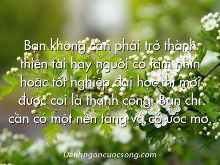 Bạn không cần phải trở thành thiên tài hay người có tầm nhìn hoặc tốt nghiệp đại học thì mới được coi là thành công. Bạn chỉ cần có một nền tảng và có ước mơ.
