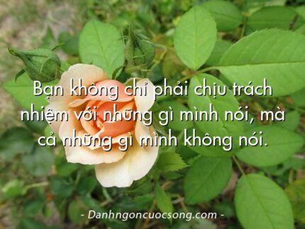 Bạn không chỉ phải chịu trách nhiệm với những gì mình nói, mà cả những gì mình không nói.