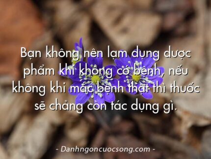 Bạn không nên lạm dụng dược phẩm khi không có bệnh, nếu không khi mắc bệnh thật thì thuốc sẽ chảng còn tác dụng gì.