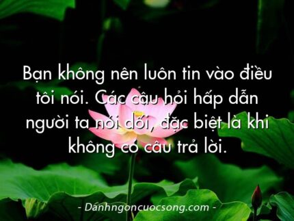 Bạn không nên luôn tin vào điều tôi nói. Các câu hỏi hấp dẫn người ta nói dối, đặc biệt là khi không có câu trả lời.