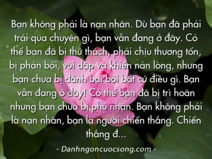 Bạn không phải là nạn nhân. Dù bạn đã phải trải qua chuyện gì, bạn vẫn đang ở đây. Có thể bạn đã bị thử thách, phải chịu thương tổn, bị phản bội, vùi dập và khiến nản lòng, nhưng bạn chưa bị đánh bại bởi bất cứ điều gì. Bạn vẫn đang ở đây! Có thể bạn đã bị trì hoãn nhưng bạn chưa bị phủ nhận. Bạn không phải là nạn nhân, bạn là người chiến thắng. Chiến thắng đã đưa bạn tới nơi này.