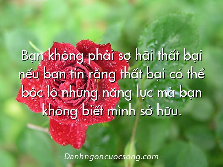 Bạn không phải sợ hãi thất bại nếu bạn tin rằng thất bại có thể bộc lộ những năng lực mà bạn không biết mình sở hữu.
