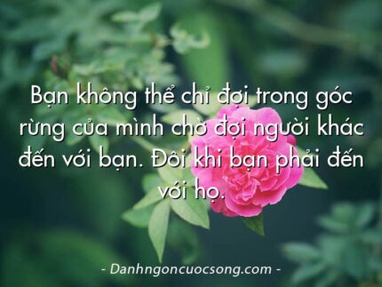 Bạn không thể chỉ đợi trong góc rừng của mình chờ đợi người khác đến với bạn. Đôi khi bạn phải đến với họ.
