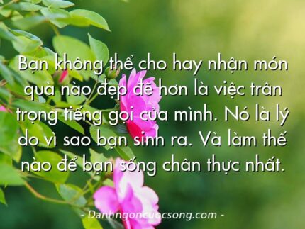 Bạn không thể cho hay nhận món quà nào đẹp đẽ hơn là việc trân trọng tiếng gọi của mình. Nó là lý do vì sao bạn sinh ra. Và làm thế nào để bạn sống chân thực nhất.