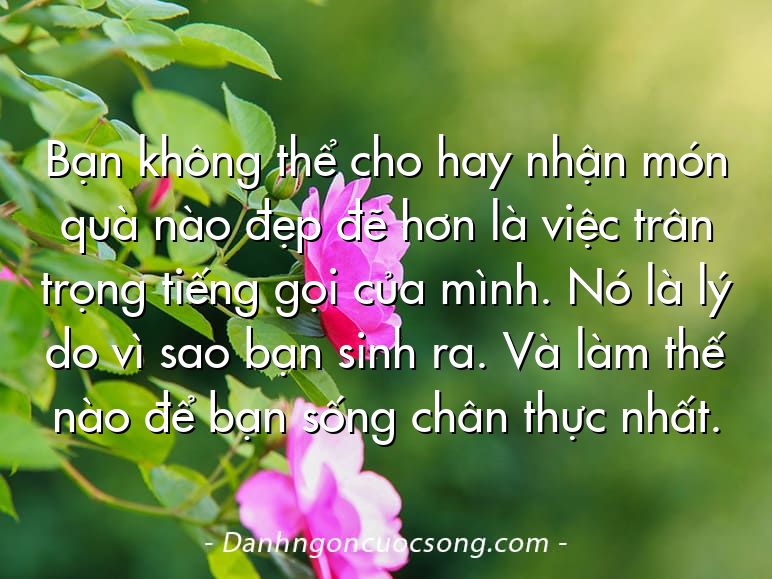 Bạn không thể cho hay nhận món quà nào đẹp đẽ hơn là việc trân trọng tiếng gọi của mình. Nó là lý do vì sao bạn sinh ra. Và làm thế nào để bạn sống chân thực nhất.