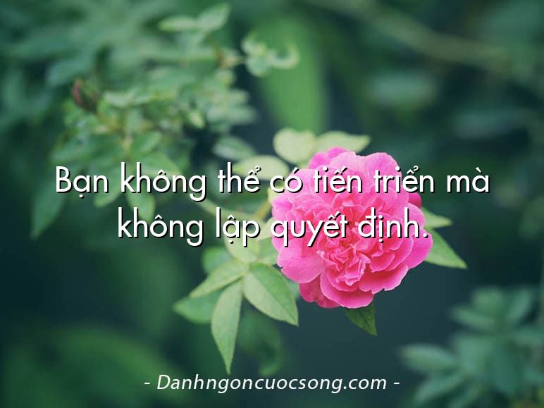 Bạn không thể có tiến triển mà không lập quyết định.