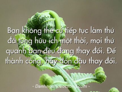 Bạn không thể cứ tiếp tục làm thứ đã từng hữu ích một thời, mọi thứ quanh bạn đều đang thay đổi. Để thành công, hãy đón đầu thay đổi.