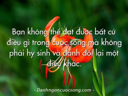 Bạn không thể đạt được bất cứ điều gì trong cuộc sống mà không phải hy sinh và đánh đổi lại một điều khác.