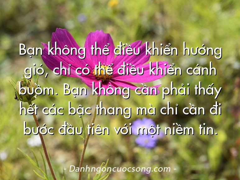 Bạn không thể điều khiển hướng gió, chỉ có thể điều khiển cánh buồm. Bạn không cần phải thấy hết các bậc thang mà chỉ cần đi bước đầu tiên với một niềm tin.