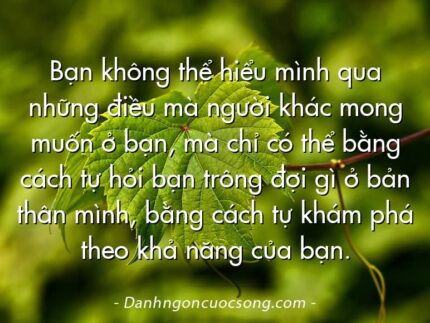 Bạn không thể hiểu mình qua những điều mà người khác mong muốn ở bạn, mà chỉ có thể bằng cách tự hỏi bạn trông đợi gì ở bản thân mình, bằng cách tự khám phá theo khả năng của bạn.