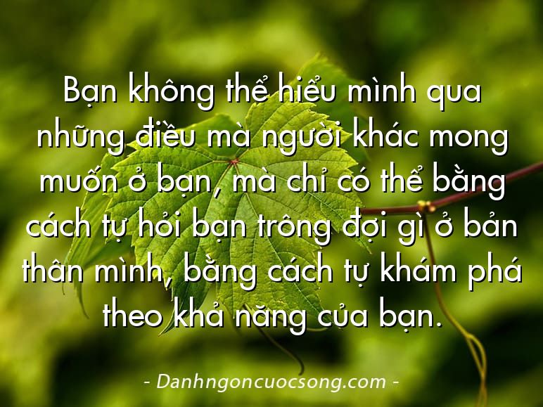 Bạn không thể hiểu mình qua những điều mà người khác mong muốn ở bạn, mà chỉ có thể bằng cách tự hỏi bạn trông đợi gì ở bản thân mình, bằng cách tự khám phá theo khả năng của bạn.