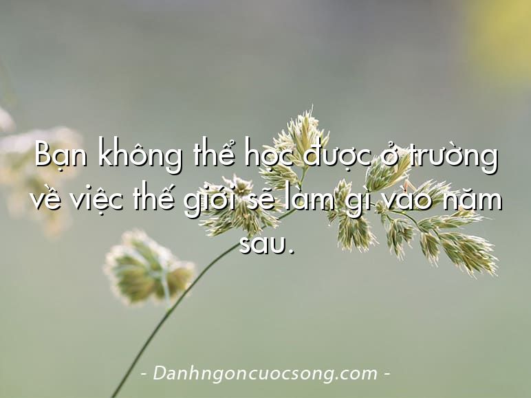Bạn không thể học được ở trường về việc thế giới sẽ làm gì vào năm sau.