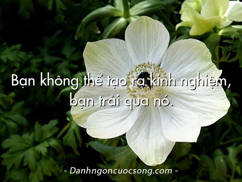 Bạn không thể tạo ra kinh nghiệm, bạn trải qua nó.