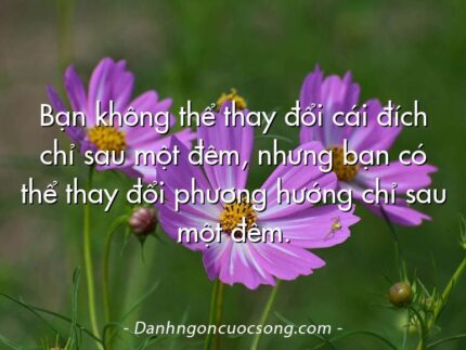 Bạn không thể thay đổi cái đích chỉ sau một đêm, nhưng bạn có thể thay đổi phương hướng chỉ sau một đêm.