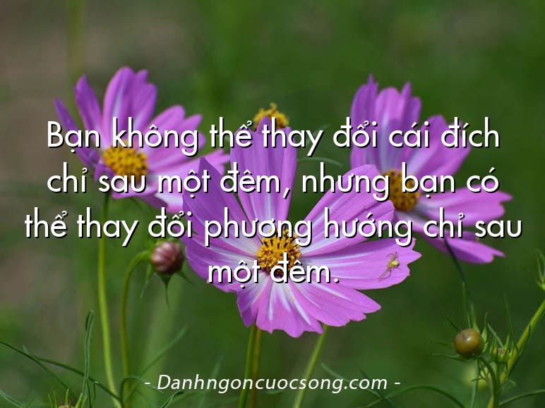 Bạn không thể thay đổi cái đích chỉ sau một đêm, nhưng bạn có thể thay đổi phương hướng chỉ sau một đêm.