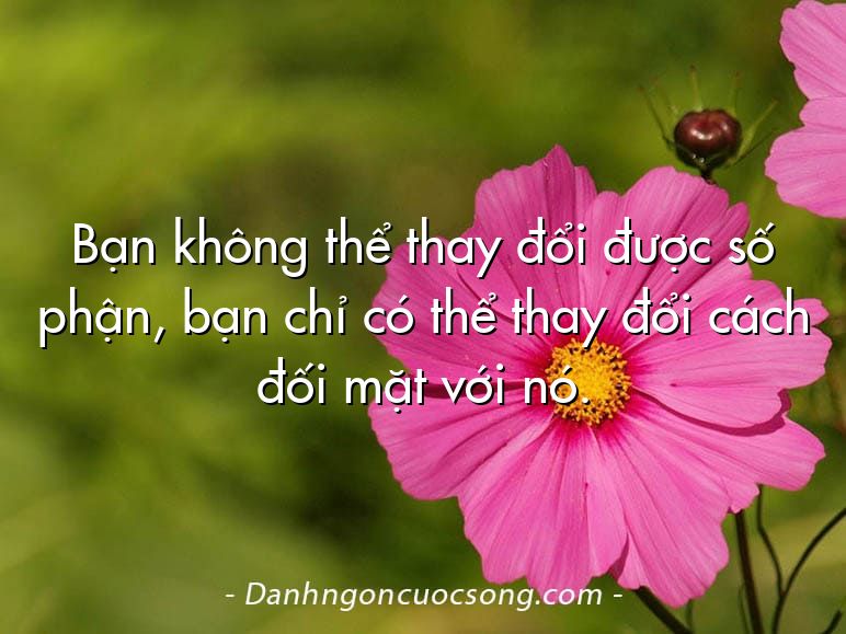 Bạn không thể thay đổi được số phận, bạn chỉ có thể thay đổi cách đối mặt với nó.