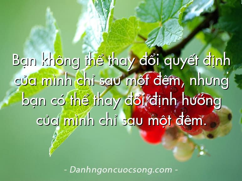 Bạn không thể thay đổi quyết định của mình chỉ sau một đêm, nhưng bạn có thể thay đổi định hướng của mình chỉ sau một đêm.
