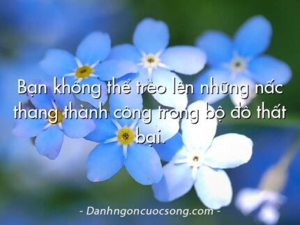 Bạn không thể trèo lên những nấc thang thành công trong bộ đồ thất bại.
