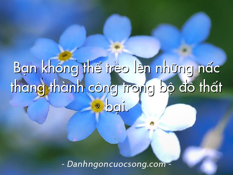 Bạn không thể trèo lên những nấc thang thành công trong bộ đồ thất bại.