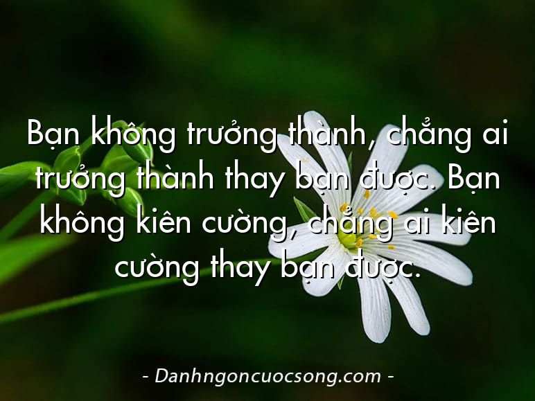 Bạn không trưởng thành, chẳng ai trưởng thành thay bạn được. Bạn không kiên cường, chẳng ai kiên cường thay bạn được.