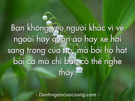 Bạn không yêu người khác vì vẻ ngoài hay quần áo hay xe hơi sang trọng của họ, mà bởi họ hát bài ca mà chỉ bạn có thể nghe thấy.