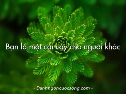 Bạn là một cái cây cho người khác