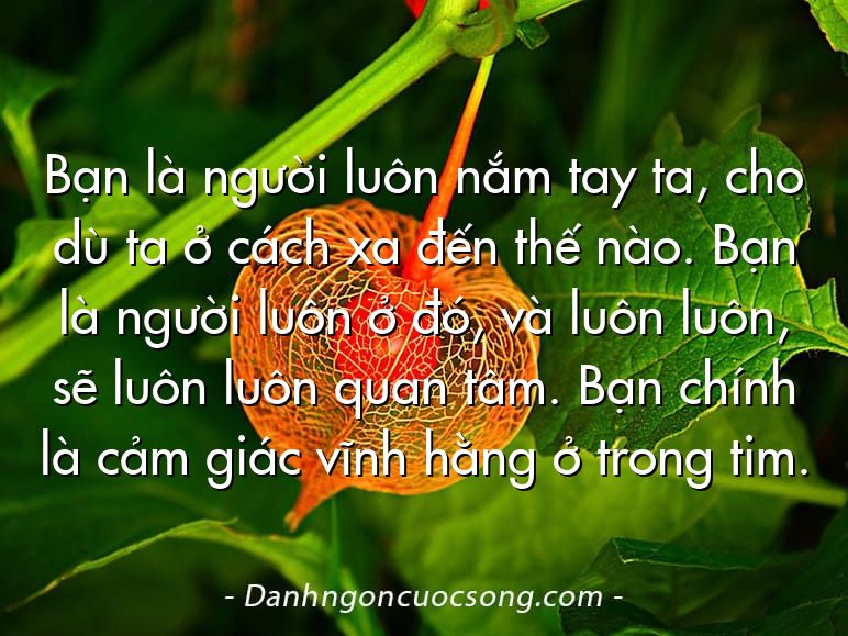 Bạn là người luôn nắm tay ta, cho dù ta ở cách xa đến thế nào. Bạn là người luôn ở đó, và luôn luôn, sẽ luôn luôn quan tâm. Bạn chính là cảm giác vĩnh hằng ở trong tim.