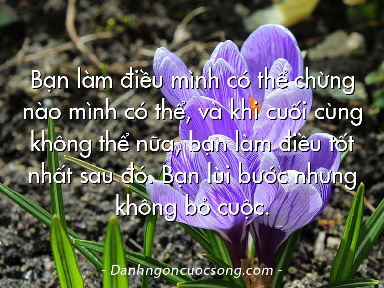 Bạn làm điều mình có thể chừng nào mình có thể, và khi cuối cùng không thể nữa, bạn làm điều tốt nhất sau đó. Bạn lùi bước nhưng không bỏ cuộc.