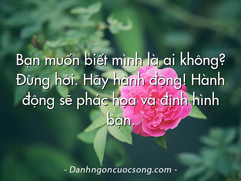 Bạn muốn biết mình là ai không? Đừng hỏi. Hãy hành động! Hành động sẽ phác họa và định hình bạn.