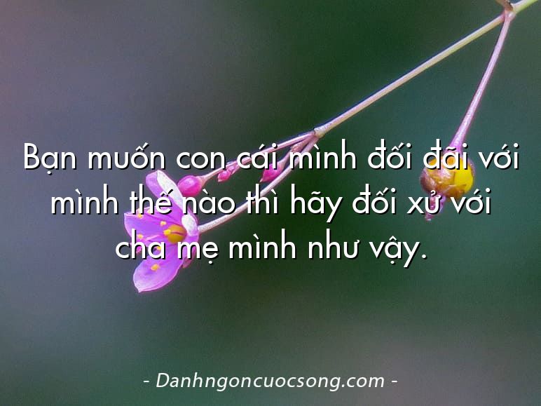 Bạn muốn con cái mình đối đãi với mình thế nào thì hãy đối xử với cha mẹ mình như vậy.