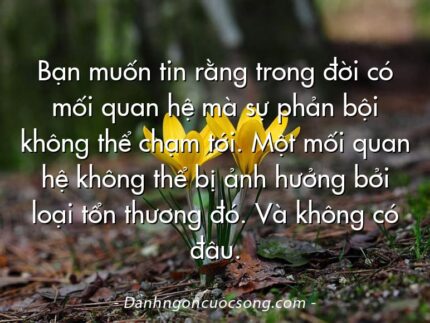 Bạn muốn tin rằng trong đời có mối quan hệ mà sự phản bội không thể chạm tới. Một mối quan hệ không thể bị ảnh hưởng bởi loại tổn thương đó. Và không có đâu.