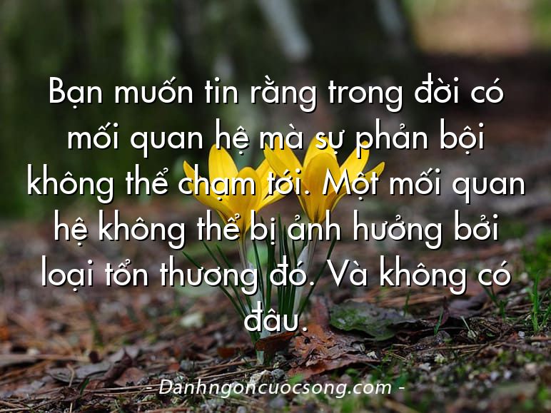 Bạn muốn tin rằng trong đời có mối quan hệ mà sự phản bội không thể chạm tới. Một mối quan hệ không thể bị ảnh hưởng bởi loại tổn thương đó. Và không có đâu.