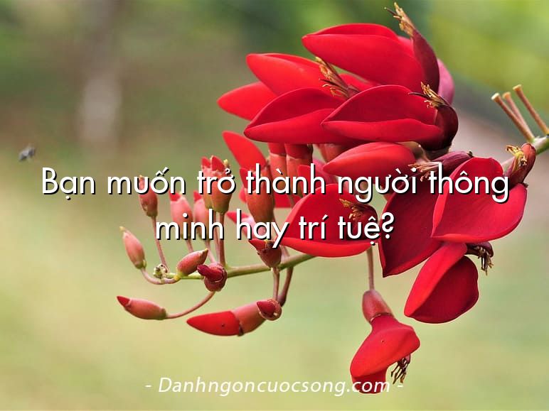 Bạn muốn trở thành người thông minh hay trí tuệ?