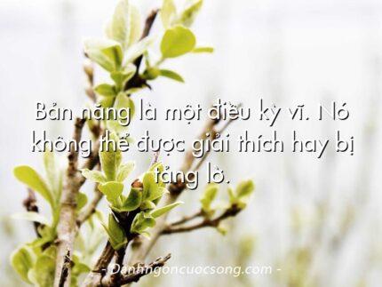 Bản năng là một điều kỳ vĩ. Nó không thể được giải thích hay bị tảng lờ.