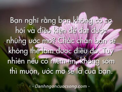 Bạn nghĩ rằng bạn không có cơ hội và điều kiện để đạt được những ước mơ? Chắc chắn bạn sẽ không thể làm được điều đó. Tuy nhiên nếu có niềm tin, không sớm thì muộn, ước mơ sẽ là của bạn.