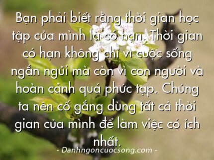 Bạn phải biết rằng thời gian học tập của mình là có hạn. Thời gian có hạn không chỉ vì cuộc sống ngắn ngủi mà còn vì con người và hoàn cảnh quá phức tạp. Chúng ta nên cố gắng dùng tất cả thời gian của mình để làm việc có ích nhất.