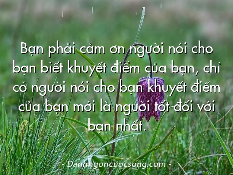 Bạn phải cảm ơn người nói cho bạn biết khuyết điểm của bạn, chỉ có người nói cho bạn khuyết điểm của bạn mới là người tốt đối với bạn nhất.
